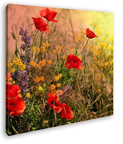 deyoli atemberaubende Wiese mit Mohnblumen Format: 70x70 als Leinwandbild, Motiv fertig gerahmt auf Echtholzrahmen, Hochwertiger Digitaldruck mit Rahmen, Kein Poster oder Plakat deyoli atemberaubende Wiese mit Mohnblumen Format: 70x70 als Leinwandbild, Motiv fertig gerahmt auf Echtholzrahmen, Hochwertiger Digitaldruck mit Rahmen, Kein Poster oder Plakat von deyoli
