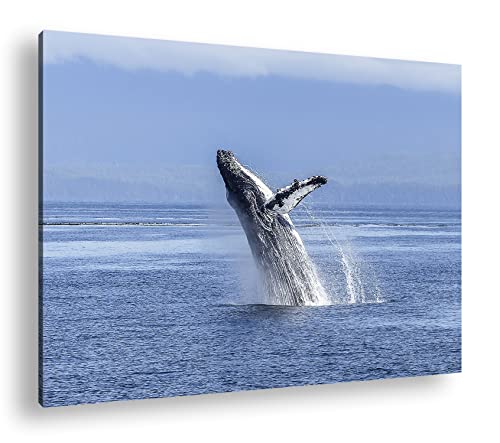 deyoli atemberaubender Buckelwal im Meer im Format: 100x70 als Leinwandbild, Motiv fertig gerahmt auf Echtholzrahmen, Hochwertiger Digitaldruck mit Rahmen, Kein Poster oder Plakat von deyoli