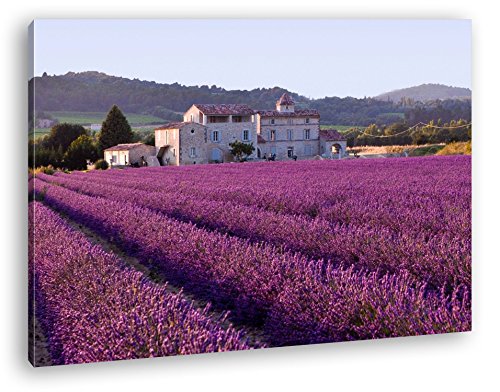 deyoli beeindruckendes Lavendelfeld in Frankreich Format: 120x80 als Leinwandbild, Motiv fertig gerahmt auf Echtholzrahmen, Hochwertiger Digitaldruck mit Rahmen, Kein Poster oder Plakat von deyoli