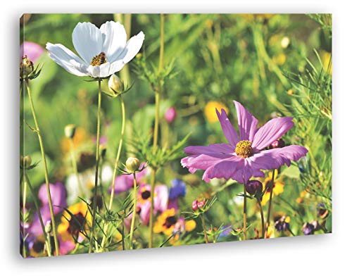 deyoli blühende Blumenwiese Format: 80x60 als Leinwand, Motiv fertig gerahmt auf Echtholzrahmen, Hochwertiger Digitaldruck mit Rahmen, Kein Poster oder Plakat von deyoli