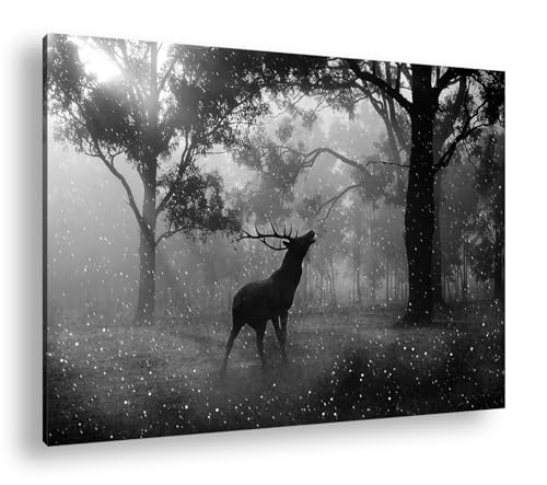 deyoli einsamer Hirsch im Wald Effekt: Schwarz/Weiß Format: 100x70 als Leinwandbild, Motiv fertig gerahmt auf Echtholzrahmen, Hochwertiger Digitaldruck mit Rahmen, Kein Poster oder Plakat von deyoli