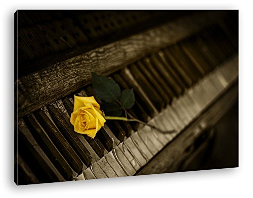 deyoli einzelne gelbe Rose auf einem sehr alten Klavier Format: 120x80 als Leinwandbild, Motiv fertig gerahmt auf Echtholzrahmen, Hochwertiger Digitaldruck mit Rahmen, Kein Poster oder Plakat von deyoli