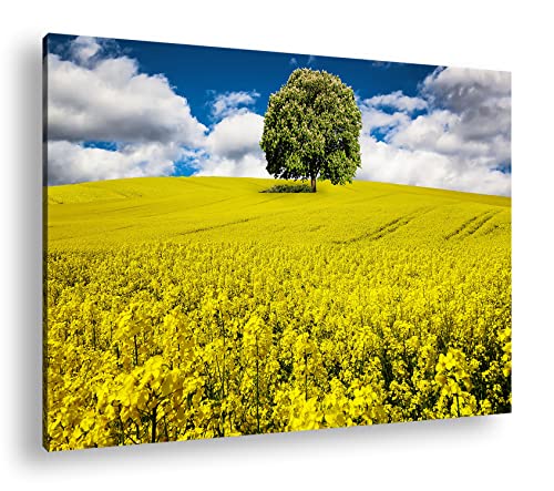 deyoli einzelner Baum im Rapsfeld Format: 120x80 als Leinwandbild, Motiv fertig gerahmt auf Echtholzrahmen, Hochwertiger Digitaldruck mit Rahmen, Kein Poster oder Plakat von deyoli