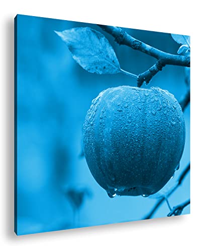 deyoli feuchter Apfel am Baum Format: 40x40 Effekt: Monocrome Blau als Leinwandbild, Motiv fertig gerahmt auf Echtholzrahmen, Hochwertiger Digitaldruck mit Rahmen von deyoli