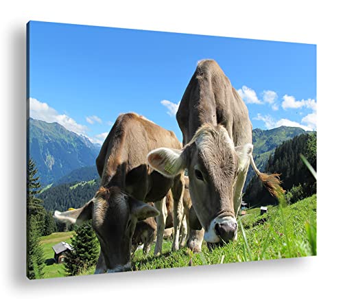deyoli friedliche Kühe auf einer Weide in Österreich im Format: 120x80 als Leinwandbild, Motiv fertig gerahmt auf Echtholzrahmen, Hochwertiger Digitaldruck mit Rahmen, Kein Poster oder Plakat deyoli friedliche Kühe auf einer Weide in Österreich im Format: 120x80 als Leinwandbild, Motiv fertig gerahmt auf Echtholzrahmen, Hochwertiger Digitaldruck mit Rahmen, Kein Poster oder Plakat von deyoli