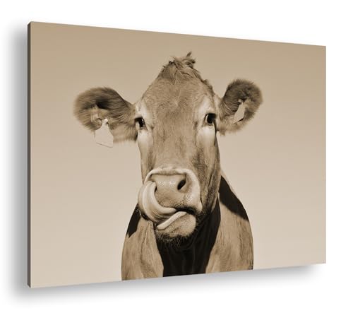 deyoli lustige Kuh Format: 100x70 Effekt: Sepia als Leinwand, Motiv fertig gerahmt auf Echtholzrahmen, Hochwertiger Digitaldruck mit Rahmen, Kein Poster oder Plakat von deyoli