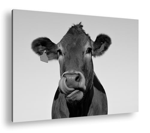 deyoli lustige Kuh Format: 60x40 Effekt: Schwarz/Weiß als Leinwand, Motiv fertig gerahmt auf Echtholzrahmen, Hochwertiger Digitaldruck mit Rahmen, Kein Poster oder Plakat von deyoli