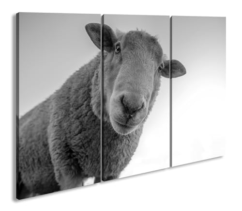 deyoli Leinwandbild Lustiges Schaf – voller Charme Format: 120x80cm (3Teilig) Effekt:Schwarz&Weiß XXL Kunstdruck Bild auf Holzrahmen/Wandbild/Wohnzimmer Dekoration deyoli Leinwandbild Lustiges Schaf – voller Charme Format: 120x80cm (3Teilig) Effekt:Schwarz&Weiß XXL Kunstdruck Bild auf Holzrahmen/Wandbild/Wohnzimmer Dekoration von deyoli