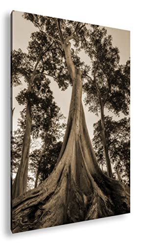 deyoli märchenhafter Baum Format: 100x70 cm Effekt: Sepia als Leinwandbild, Motiv fertig gerahmt auf Echtholzrahmen, Hochwertiger Digitaldruck mit Rahmen von deyoli
