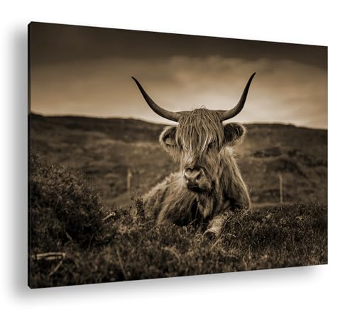 deyoli pelziges Rind auf schottischer Landschaft Format:90x60 cm Effekt: Sepia als Leinwandbild, Motiv fertig gerahmt auf Echtholzrahmen, Hochwertiger Digitaldruck mit Rahmen von deyoli