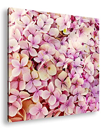 deyoli rosablühende Hortensie-Pracht Format: 60x60 als Leinwandbild, Motiv fertig gerahmt auf Echtholzrahmen, Hochwertiger Digitaldruck, Kein Poster oder Plakat deyoli rosablühende Hortensie-Pracht Format: 60x60 als Leinwandbild, Motiv fertig gerahmt auf Echtholzrahmen, Hochwertiger Digitaldruck, Kein Poster oder Plakat von deyoli