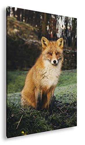 deyoli süßer Fuchs im Wald Format: 60x40 als Leinwand, Motiv fertig gerahmt auf Echtholzrahmen, Hochwertiger Digitaldruck mit Rahmen, Kein Poster oder Plakat deyoli süßer Fuchs im Wald Format: 60x40 als Leinwand, Motiv fertig gerahmt auf Echtholzrahmen, Hochwertiger Digitaldruck mit Rahmen, Kein Poster oder Plakat von deyoli