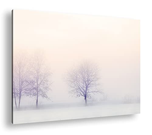 deyoli weiße Winterlandschaft Format: 100x70 als Leinwand, Motiv fertig gerahmt auf Echtholzrahmen, Hochwertiger Digitaldruck mit Rahmen, Kein Poster oder Plakat von deyoli