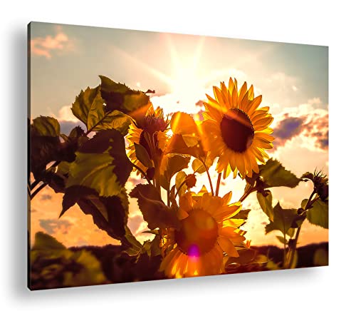 deyoli wunderschöne Sonnenblumen im Sonnenschein im Format: 80x60 als Leinwandbild, Motiv fertig gerahmt auf Echtholzrahmen, Hochwertiger Digitaldruck mit Rahmen, Kein Poster oder Plakat von deyoli