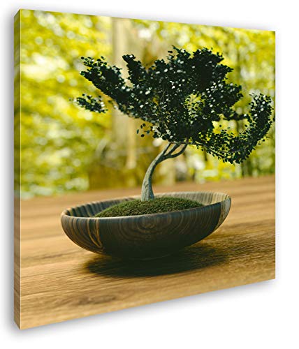 deyoli wunderschöner kleiner Bonsai Format: 60x60 als Leinwandbild, Motiv fertig gerahmt auf Echtholzrahmen, Hochwertiger Digitaldruck mit Rahmen, Kein Poster oder Plakat von deyoli