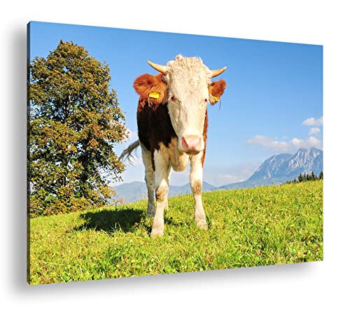 edle Kuh auf der Weide Format: 120x80 als Leinwand, Motiv fertig gerahmt auf Echtholzrahmen, Hochwertiger Digitaldruck mit Rahmen, Kein Poster oder Plakat edle Kuh auf der Weide Format: 120x80 als Leinwand, Motiv fertig gerahmt auf Echtholzrahmen, Hochwertiger Digitaldruck mit Rahmen, Kein Poster oder Plakat von deyoli