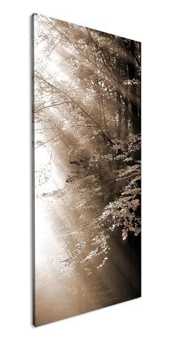 herbstlicher Wald mit Sonnenstrahlen Panorama 60x30 cm Effekt:Sepia als Leinwandbild, Motiv fertig gerahmt auf Echtholzrahmen, Hochwertiger Digitaldruck mit Rahmen von deyoli