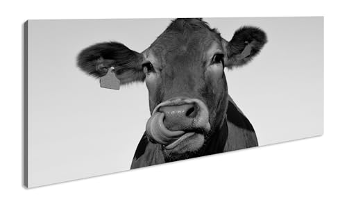 lustige Kuh Panorama 100x50 cm Effekt:Schwarz/Weiß als Leinwandbild, Motiv fertig gerahmt auf Echtholzrahmen, Hochwertiger Digitaldruck mit Rahmen von deyoli