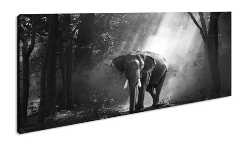 stolzer Elefant im Wald Panorama 100x50 cm Effekt:Schwarz/Weiß als Leinwandbild, Motiv fertig gerahmt auf Echtholzrahmen, Hochwertiger Digitaldruck mit Rahmen von deyoli