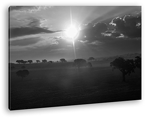 strahlende Sonne über der Steppe Effekt: Schwarz/Weiß Format: 100x70 als Leinwand, Motiv fertig gerahmt auf Echtholzrahmen, Hochwertiger Digitaldruck mit Rahmen, Kein Poster oder Plakat von deyoli