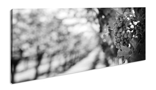 wunderschöner Weingarten im Sonnenschein Panorama 120x60 cm Effekt: Schwarz/Weiss als Leinwandbild, Motiv fertig gerahmt auf Echtholzrahmen, Hochwertiger Digitaldruck mit Rahmen von deyoli