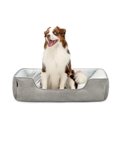 lionto Hundebett 2-in-1 mit komfortablem Einstieg, kuscheliges Heimtierbett zum Wenden für Hunde und Katzen, 110x80 cm, Hundekissen in pflegeleichter Wildlederoptik, grau von lionto