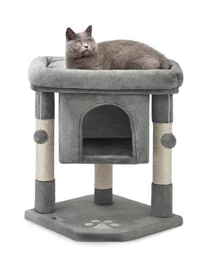 lionto Kratzbaum für Katzen mit Höhle & 2 Plüschballen inkl. Glöckchen, Höhe 60 cm, Katzenbaum mit robustem Sisalseil & weichem Plüsch, gemütliche Liegefläche, für kleine & große Katzen, dunkelgrau von lionto