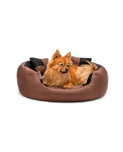 lionto Hundebett 4-in-1 mit Wendekissen aus robustem Oxford, 65x50 cm, Heimtierkissen Kratzfest mit tiefem Einstieg für Katzen und Hunde Aller Größen, inkl. Zierkissen, wasserabweisend, schwarz/braun von lionto