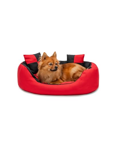 lionto Hundebett 4-in-1 mit Wendekissen aus robustem Oxford, 65x50 cm, Heimtierkissen Kratzfest mit tiefem Einstieg für Katzen und Hunde Aller Größen, inkl. Zierkissen, wasserabweisend, rot/schwarz von lionto