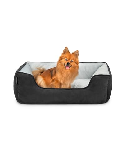 lionto Hundebett 2-in-1 mit komfortablem Einstieg, kuscheliges Heimtierbett zum Wenden für Hunde und Katzen, 80x60 cm, Hundekissen in pflegeleichter Wildlederoptik, schwarz/grau lionto Hundebett 2-in-1 mit komfortablem Einstieg, kuscheliges Heimtierbett zum Wenden für Hunde und Katzen, 80x60 cm, Hundekissen in pflegeleichter Wildlederoptik, schwarz/grau von lionto