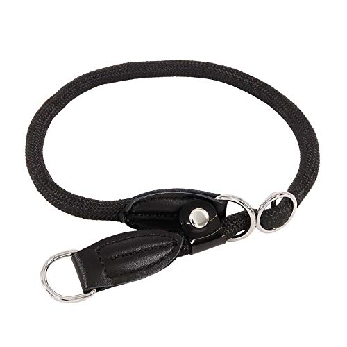 lionto Hundehalsband Retrieverhalsband Dressurhalsband, Länge 30 cm, schwarz von lionto