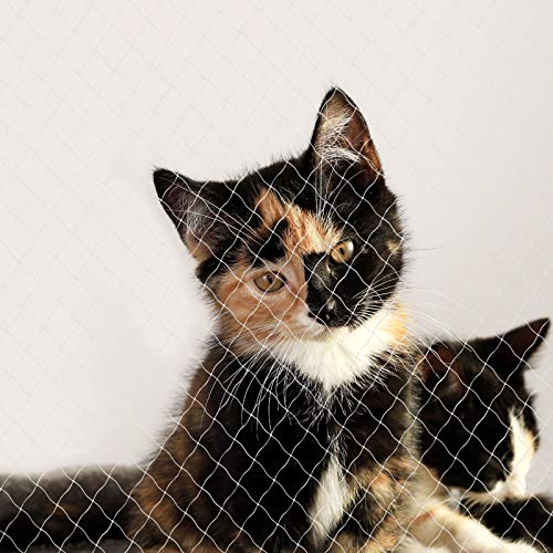 lionto Balkonschutznetz zur Sicherung von Katzen, Katzenschutznetz aus transparentem Nylon, 3x4 m, witterungsbeständiges Katzennetz zur Montage ohne Bohren, Montagematerial & Anleitung inklusive lionto Balkonschutznetz zur Sicherung von Katzen, Katzenschutznetz aus transparentem Nylon, 3x4 m, witterungsbeständiges Katzennetz zur Montage ohne Bohren, Montagematerial & Anleitung inklusive von lionto