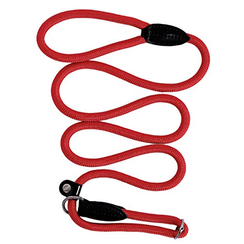 lionto Retrieverleine robust und wetterfest für Hunde Aller Größen, schnell anzulegende Hundeleine und Halsband in Einem, 170 cm, fellschonende Führleine mit integriertem Zugstopp, vegan, rot lionto Retrieverleine robust und wetterfest für Hunde Aller Größen, schnell anzulegende Hundeleine und Halsband in Einem, 170 cm, fellschonende Führleine mit integriertem Zugstopp, vegan, rot von lionto