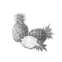 Ananas Obst Stillleben Schwarz-Weiß-Bleistiftzeichnung Benutzerdefinierte Zeichnung Vom Foto Gemüse Geschenk Für Jeden Anlass von disegniChiarodiLuna
