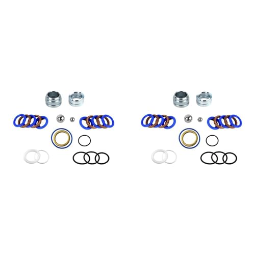 dissot 2 x 248212 Reparatur-Set für Airless-Pumpen Ultra Max II 695 795 LineLazer 3900 von dissot
