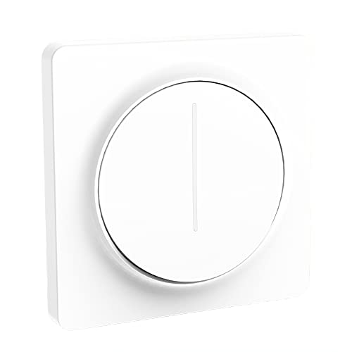 dissot Tuya Smart Wifi Dimmer Licht, Wandschalter mit Touchdimmer 100 – 240 V, funktioniert für Home von dissot