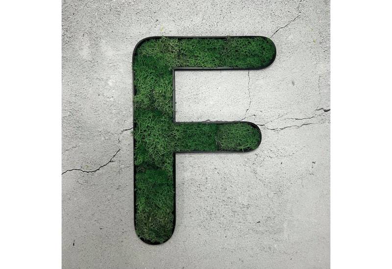 dixtime Wanddekoobjekt Islandmoos – Buchstabe, Immergrün das ganze Jahr - 0% Pflege! dixtime Wanddekoobjekt Islandmoos – Buchstabe, Immergrün das ganze Jahr - 0% Pflege! von dixtime