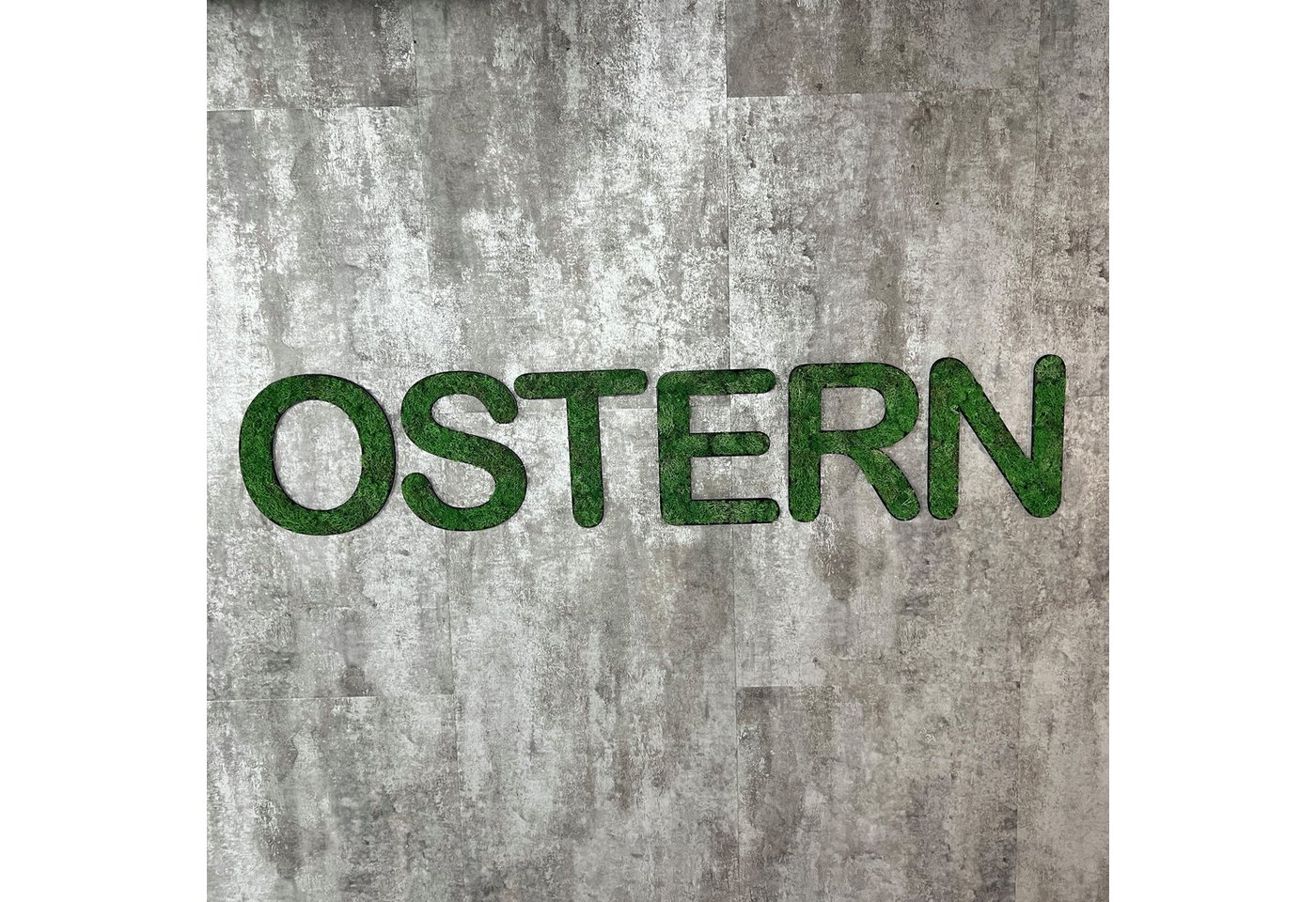dixtime Wanddekoobjekt Islandmoos – Set OSTERN, Immergrün das ganze Jahr - 0% Pflege! von dixtime