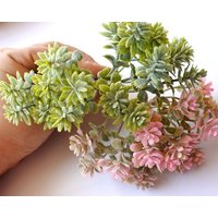 36 Blumen 12stems , Mini Künstliche Lose Blüten, Fake Dusty Sukkulenten, Rosa Sukkulente Für Haarkamm, Hochzeit Braut Haarnadel | Ap020 36 Blumen 12stems , Mini Künstliche Lose Blüten, Fake Dusty Sukkulenten, Rosa Sukkulente Für Haarkamm, Hochzeit Braut Haarnadel | Ap020 von diyla520