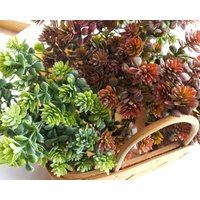 Künstliche Sukkulente 28 Paar Mini Blumen in Einem Bündel, Fake Grün Und Orange Sukkulente, Lotussukkulenten Für Haus Garten Diy Dekoration W006 Künstliche Sukkulente 28 Paar Mini Blumen in Einem Bündel, Fake Grün Und Orange Sukkulente, Lotussukkulenten Für Haus Garten Diy Dekoration W006 von diyla520