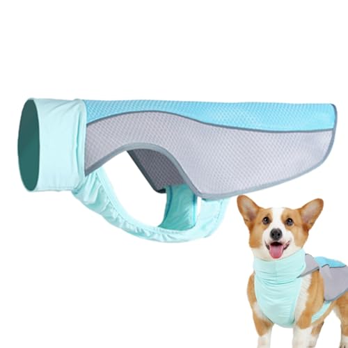 dmqdu Kühlweste für Hunde, Kühlweste für Hunde, Kühlweste für große Katzen | Kühlweste für Hunde, atmungsaktiv, für Spaziergänge im Freien, Weste dmqdu Kühlweste für Hunde, Kühlweste für Hunde, Kühlweste für große Katzen | Kühlweste für Hunde, atmungsaktiv, für Spaziergänge im Freien, Weste von dmqdu