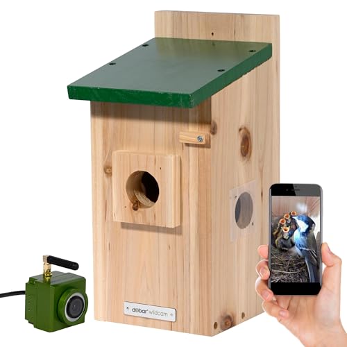 Luxus-VOGELHAUS Nistkasten Eazy mit WiFi Kamera und Netzteil - Vogelbeobachtung mit Nisthilfe aus Holz und App - Ø 40 mm Einflugloch - Grün von dobar