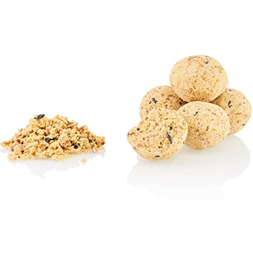 dobar® 24088e Meisenknödel 100 Stück ohne Netz inkl. Samenmischung Futterwiese - Fettfutter für Wildvögel - Ganzjahresknödel á 90 g - Vogelfutter 9 kg - Natur von dobar