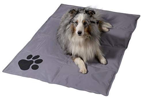 dobar® 60422 Kühlmatte für Hunde - Hundekühlmatte für Hund & Katze - selbstkühlende Matte für Haustiere - Hundedecke mit Kaltgel-Füllung - Kühldecke - 99,5 x 70 cm - Grau von dobar