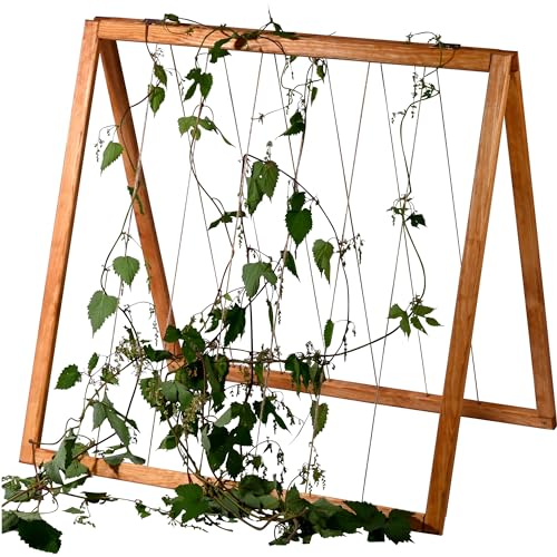 dobar® Rankhilfen-Aufsatz Gurken für Hochbeet Kubus 2.0 - Rankhilfe für den Garten - 78 x 58 x 78 cm - Braun von dobar