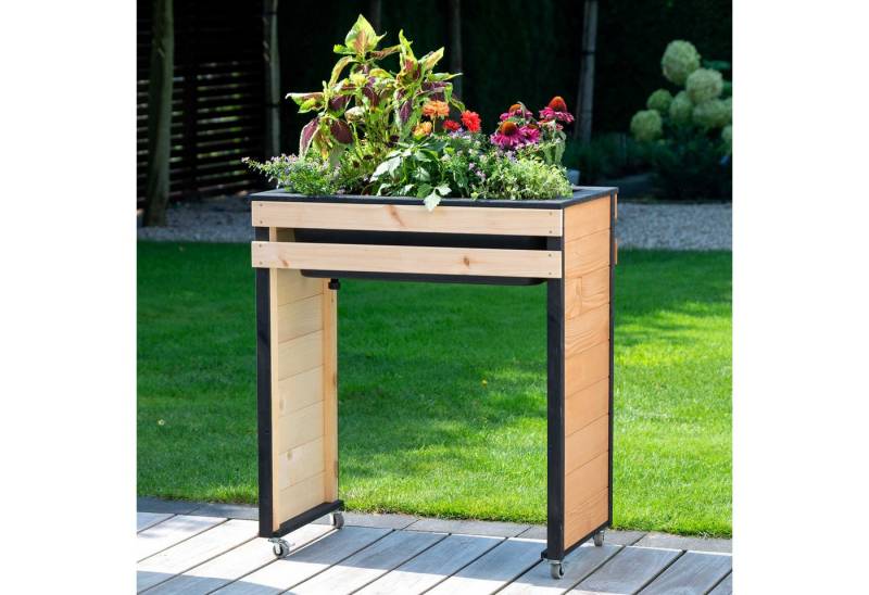 dobar Hochbeet "Wheely" auf Rollen Gr. M, Das Hochbeet ist ca. 77 x 47 x 88 cm (L x B x H) groß von dobar