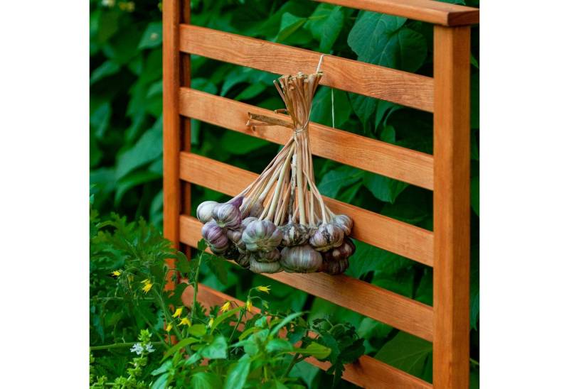 dobar Rankgitter Rankgitteraufsatz Kubus 2.0, Massivholz, Hellbraun, 78 x 5 x 78 cm (L x B x H) von dobar