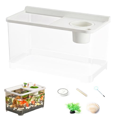 doyandader Betta Aquarium 3 Farbbeleuchtung, Landschaftsgestaltung Tank, 360° Sicht Aquarium Für Wohnzimmer Arbeitszimmer Schlafzimmer doyandader Betta Aquarium 3 Farbbeleuchtung, Landschaftsgestaltung Tank, 360° Sicht Aquarium Für Wohnzimmer Arbeitszimmer Schlafzimmer von doyandader