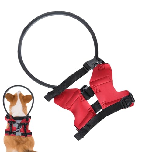 doyandader Blindenhund Geschirr | Verstellbarer Schutzring Gegen Anstoßen Für Haustiere - Schutzring Für Halsband Führung Bei Sehschwäche Und Für Sichere Nutzung Im Freien von doyandader
