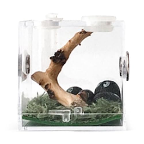 doyandader Durchsichtige Insektenfutterbox | Krabbelbox aus Acryl für die Zucht von Haustieren – transparente Aufbewahrung von Lebendfutter - Terrarienkoffer für Mini Pet, Schlange, Spinne, von doyandader
